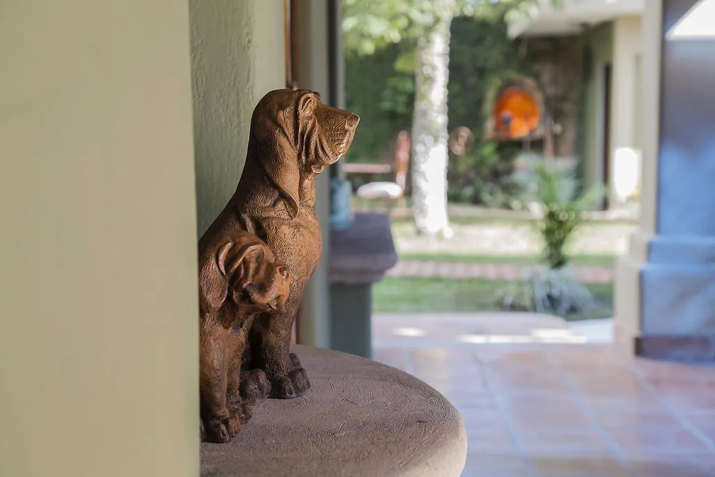 Hacienda Del Lago Boutique Hotel Ajijic